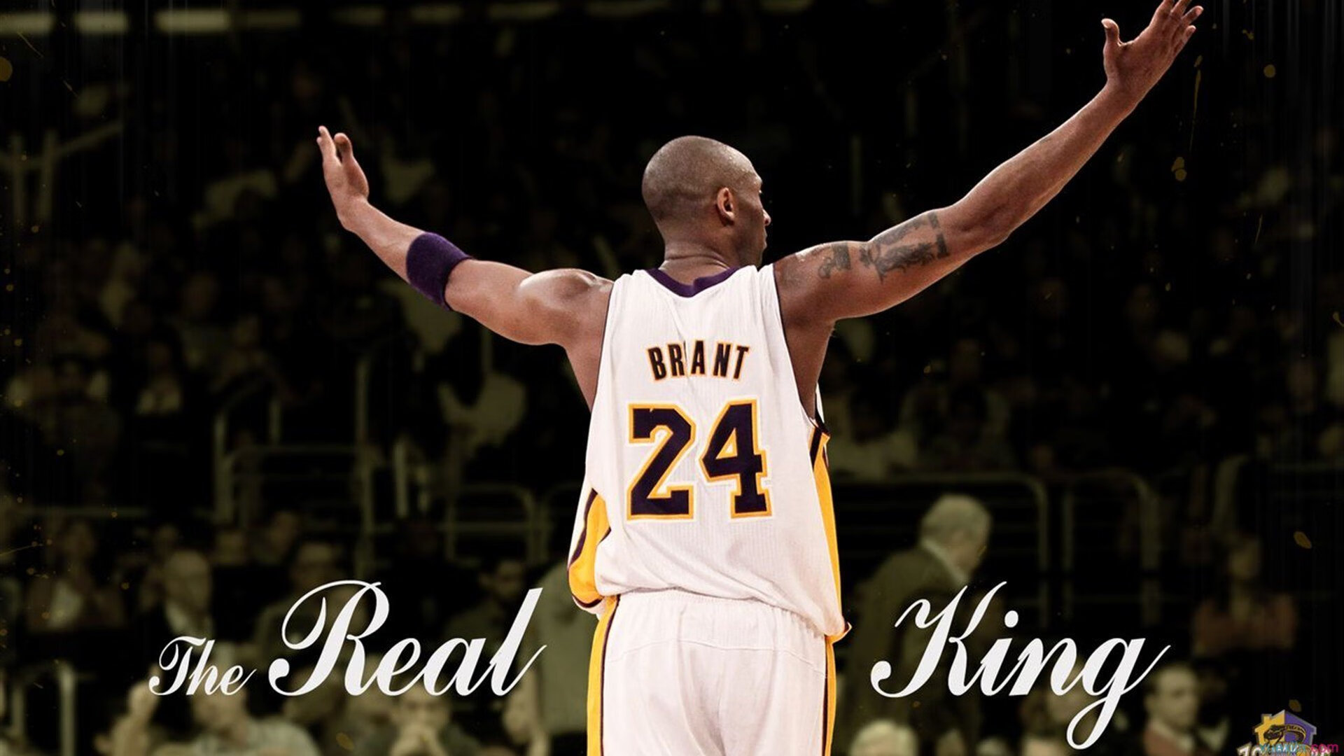 熬到天亮勇士训练结束贴片曝光